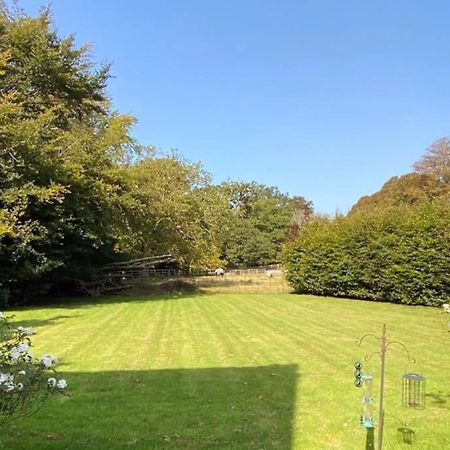 The Dower House At Parnham Park Βίλα Beaminster Εξωτερικό φωτογραφία